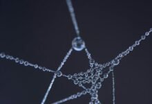 connection drop identifier number