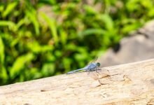 sync failure report logged