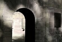 aris 3 udsm login information